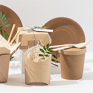 Sustainable Packaging For Takeaway And Food Delivery